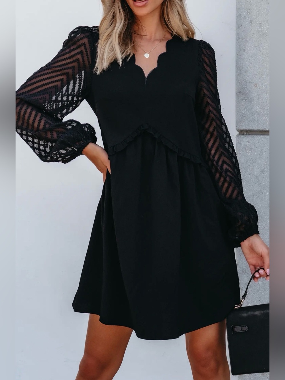 Black Scalloped V-Neck Sheer Long Sleeve
Mini Dress